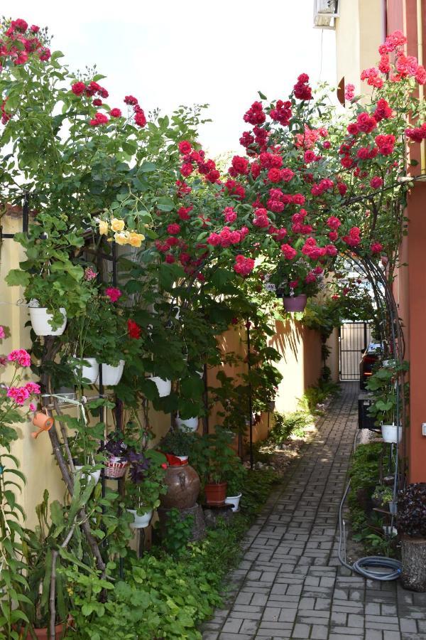 Casa Mara Apartman Tulcsa Kültér fotó
